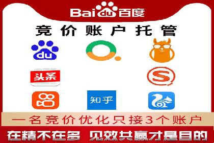 SEM搜索引擎优化策略解析与应用案例
