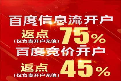 百度推广实战：成功案例解析
